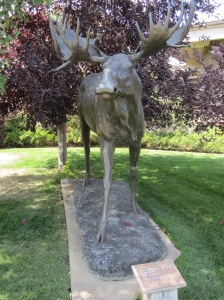 Bronze Moose